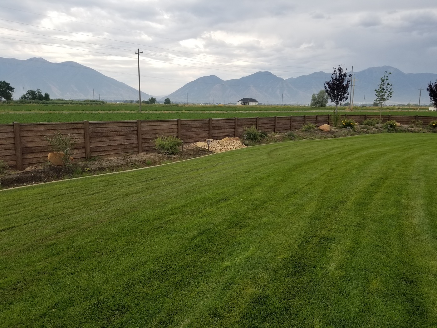 Concrete fence bordering a landscaped yard